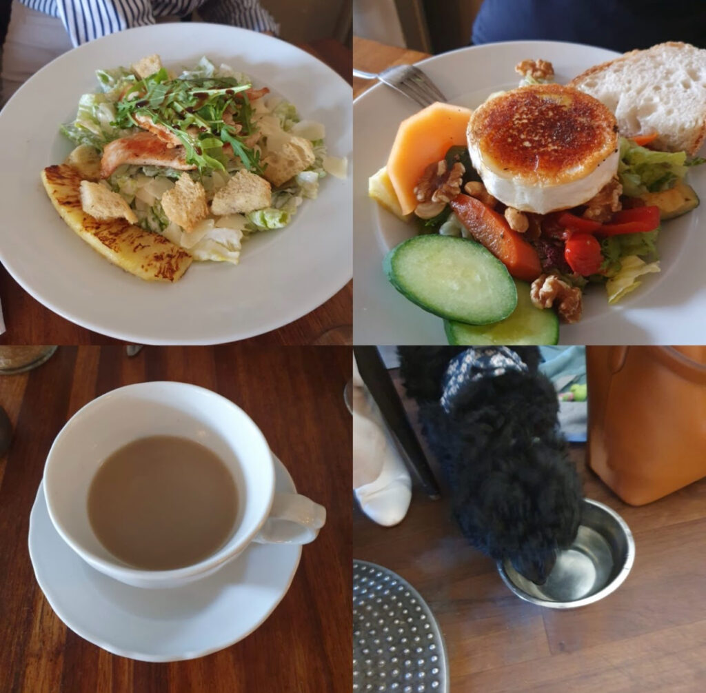 Koiraystävällinen ravintola.